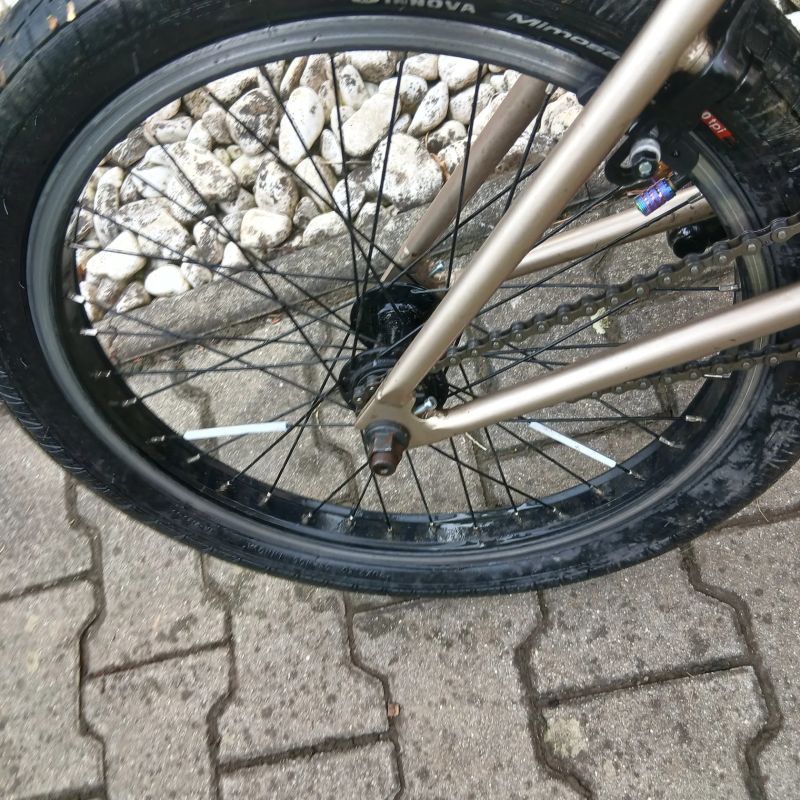 Ctm bmx pop