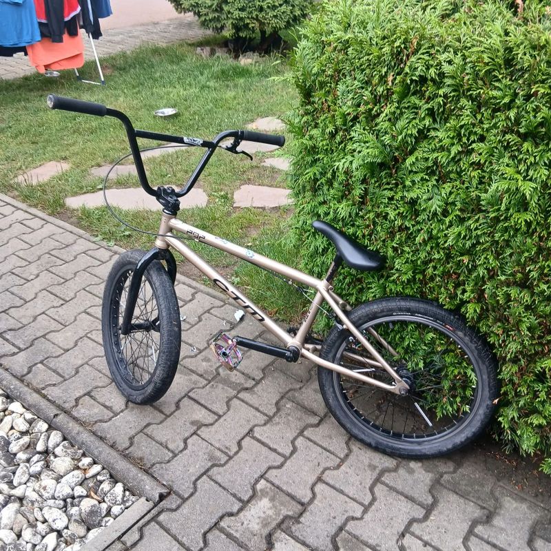 Ctm bmx pop