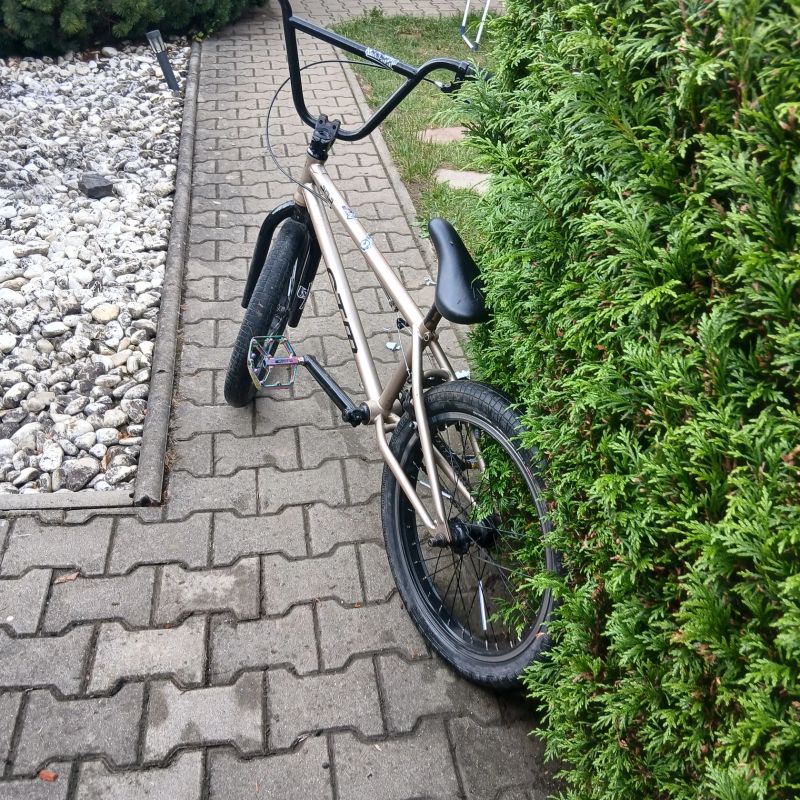 Ctm bmx pop