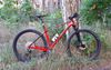 Trek Procaliber 9.5 L RED