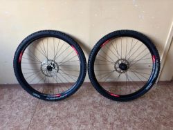 Sun Riglé Duroc 30 str TLR