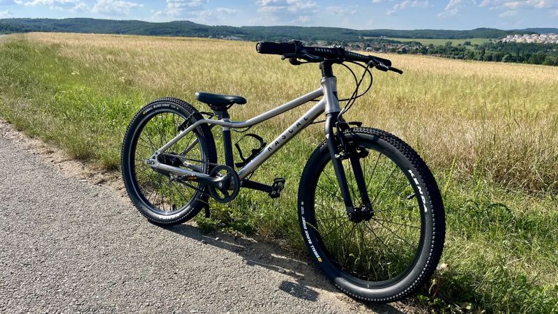 Rascal 20”