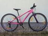 Trek Wahoo! 26