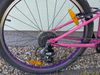 Trek Wahoo! 26