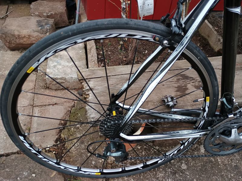 Scott CR1 Elite