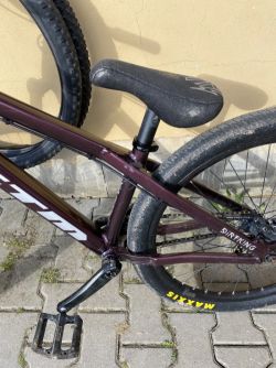 CTM Dirtking