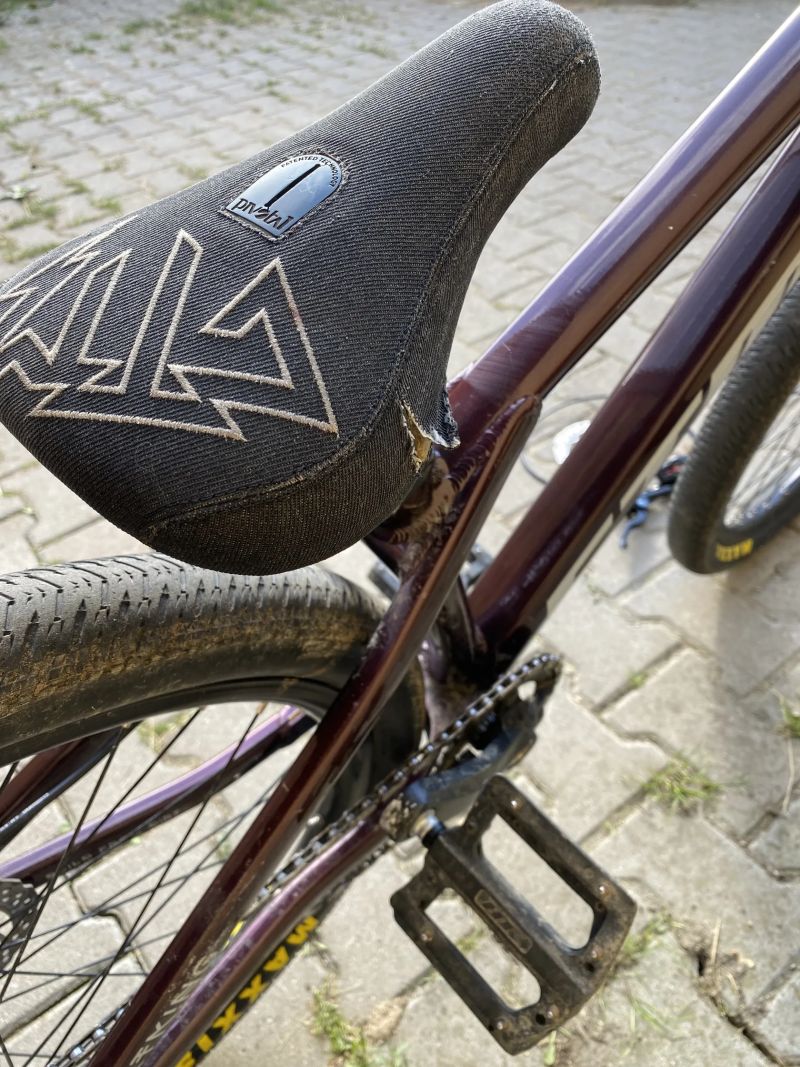 CTM Dirtking