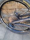 Specialized Turbo Levo