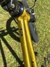 Rascal 16”