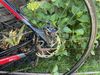 Specialized Crux