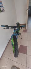 Felt Fat bike