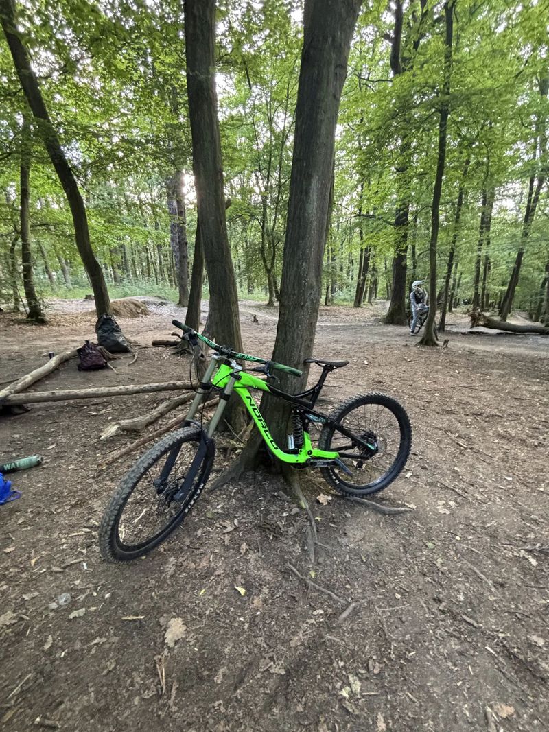 Norco Aurum 6.2