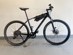 Trek Dual Sport 3