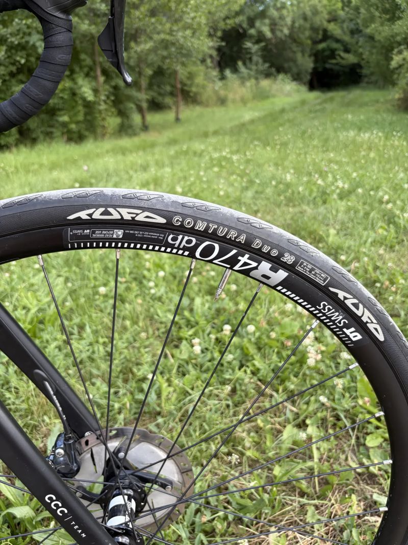 Giant TCR