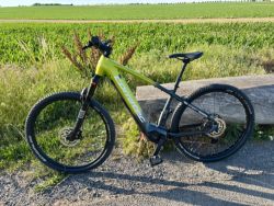 Corratec E-Power X-Vert Pro Team