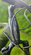 Haibike SDURO HardNine 7