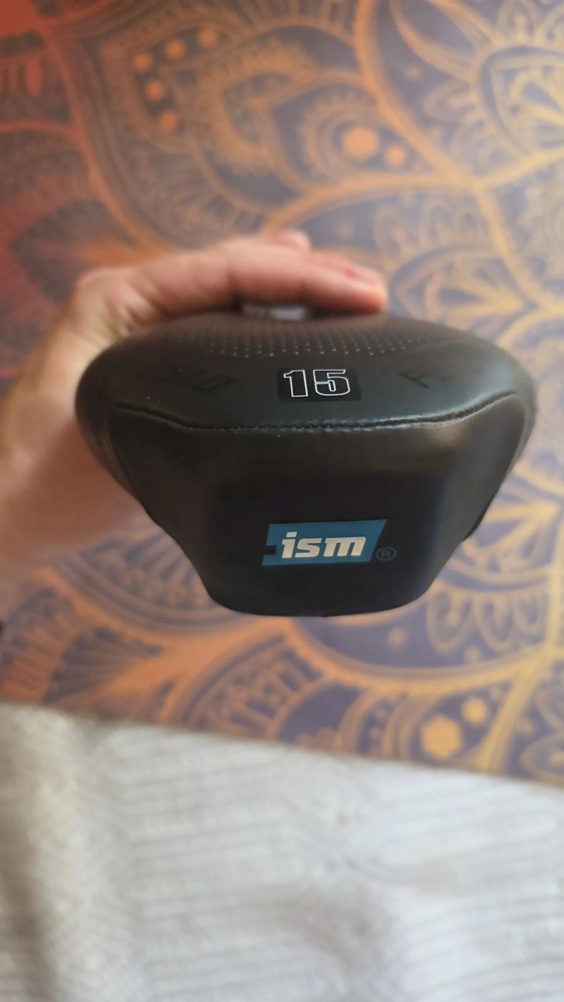 ISM PS 1.0 15 