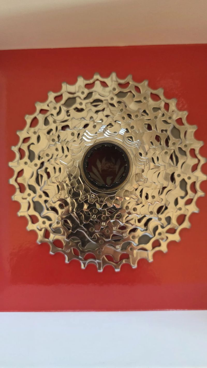 Kazeta SRAM XG-1250 D1 12 rychl., 10-36z D1