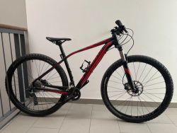 Specialized Rockhopper 29 vel M po servisu