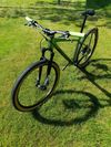 Specialized Chisel Chamelelon Snake 29"-limitovaná edice