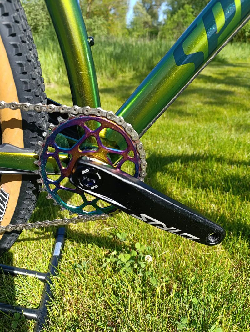 Specialized Chisel Chamelelon Snake 29"-limitovaná edice