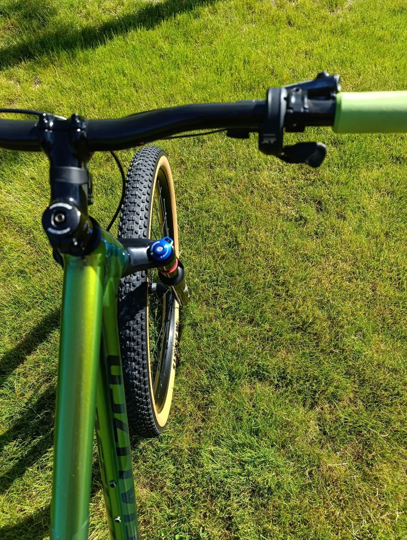 Specialized Chisel Chamelelon Snake 29"-limitovaná edice