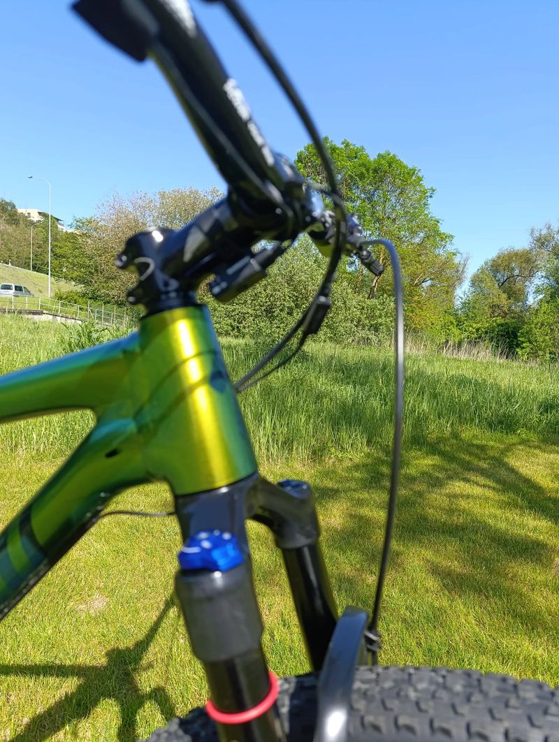 Specialized Chisel Chamelelon Snake 29"-limitovaná edice