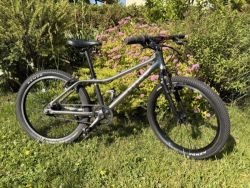 Rascal 20”