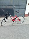 Kellys Omega crossové kolo