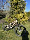 Canyon Spectral 29 AL 5