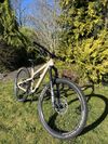 Canyon Spectral 29 AL 5