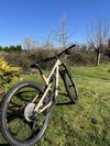 Canyon Spectral 29 AL 5