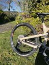 Canyon Spectral 29 AL 5