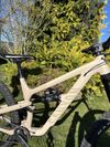 Canyon Spectral 29 AL 5
