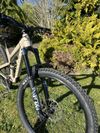Canyon Spectral 29 AL 5