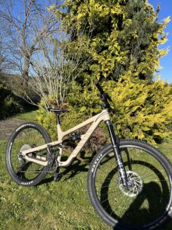 Canyon Spectral 29 AL 5