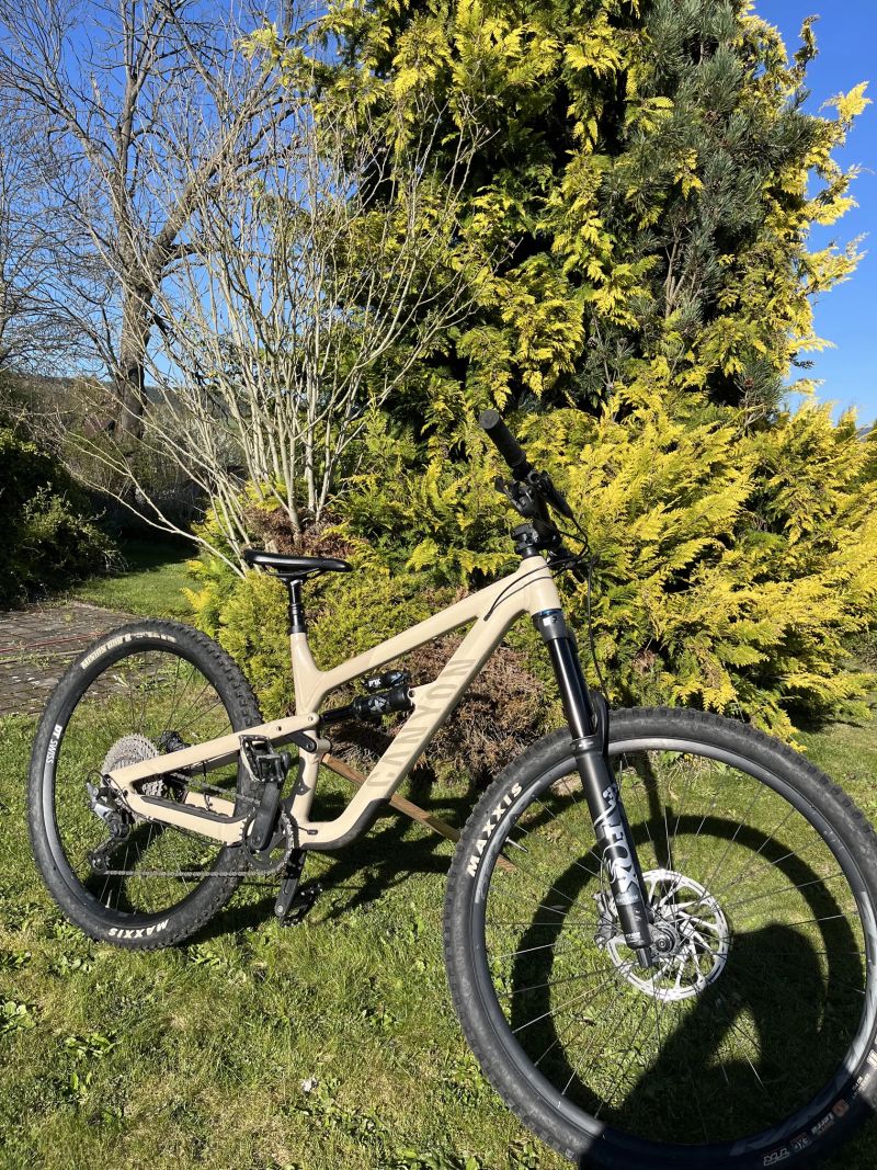Canyon Spectral 29 AL 5