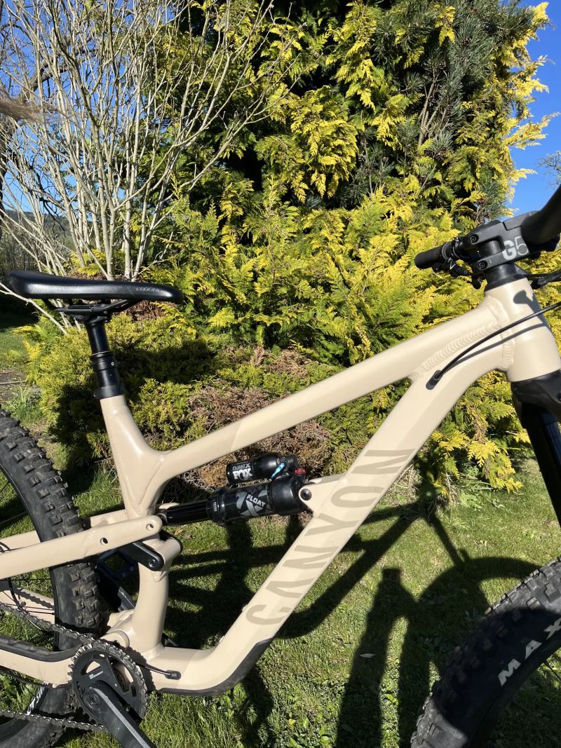Canyon Spectral 29 AL 5