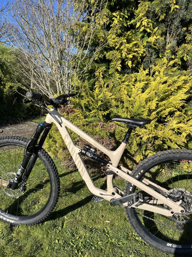 Canyon Spectral 29 AL 5