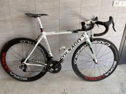 Colnago C59