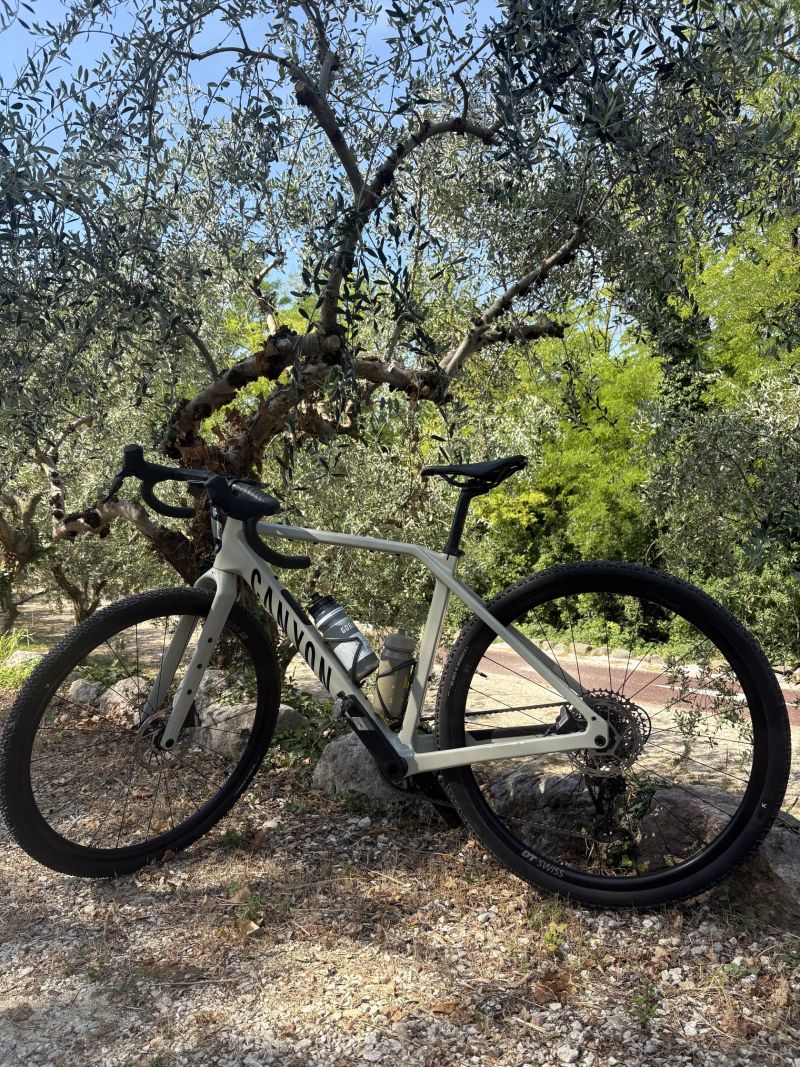 Canyon Grizl CF6