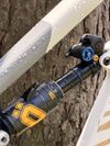 Canyon Spectral