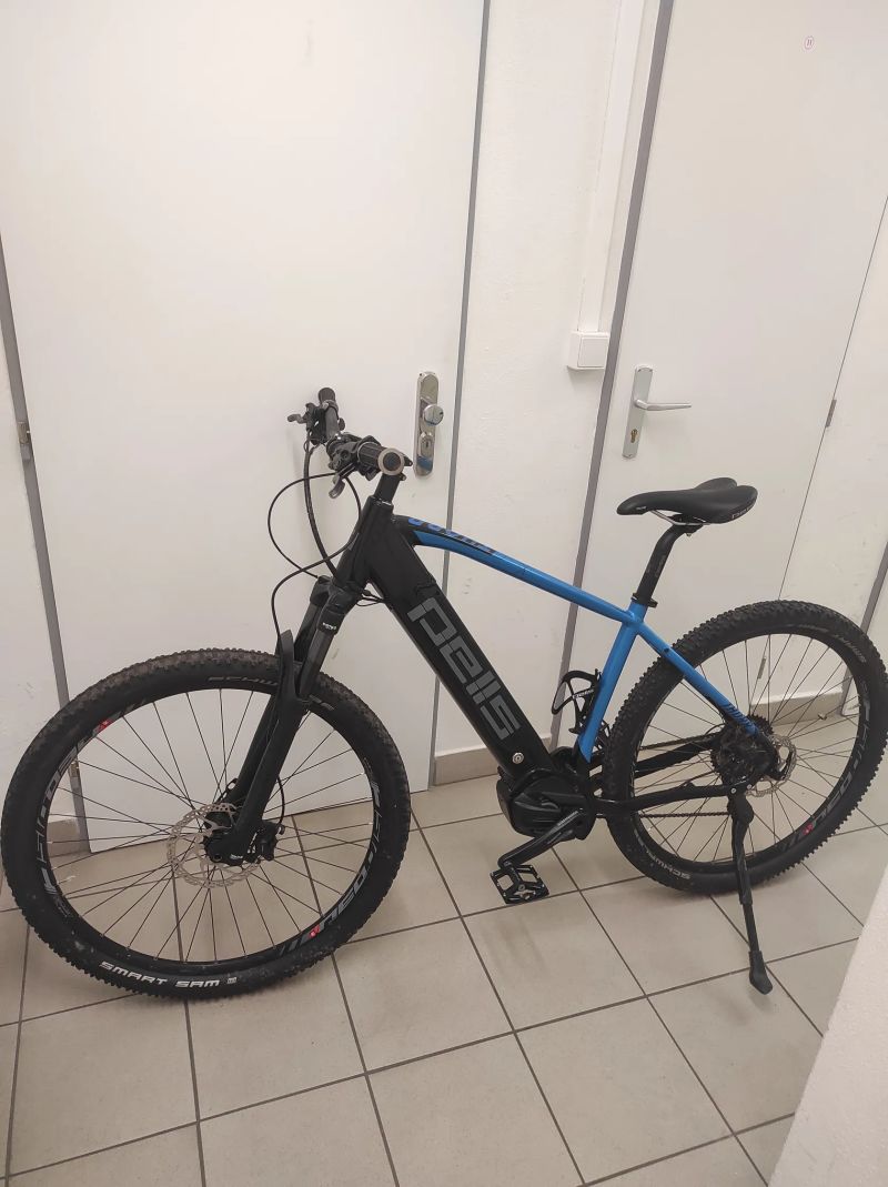 Elektrokolo Pells Thorr Elite 29 (L) horské kolo