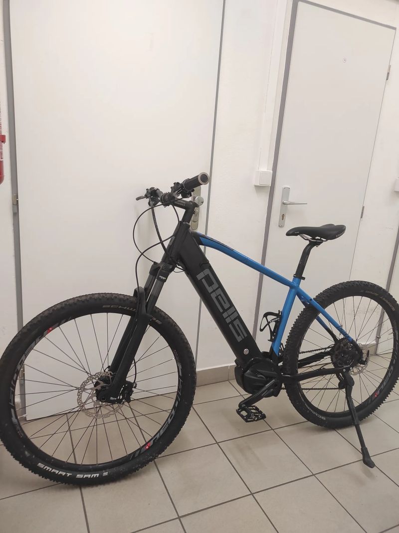 Elektrokolo Pells Thorr Elite 29 (L) horské kolo