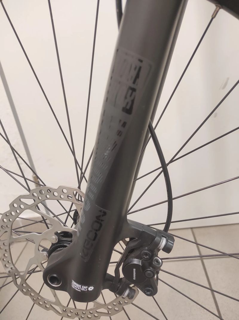 Elektrokolo Pells Thorr Elite 29 (L) horské kolo