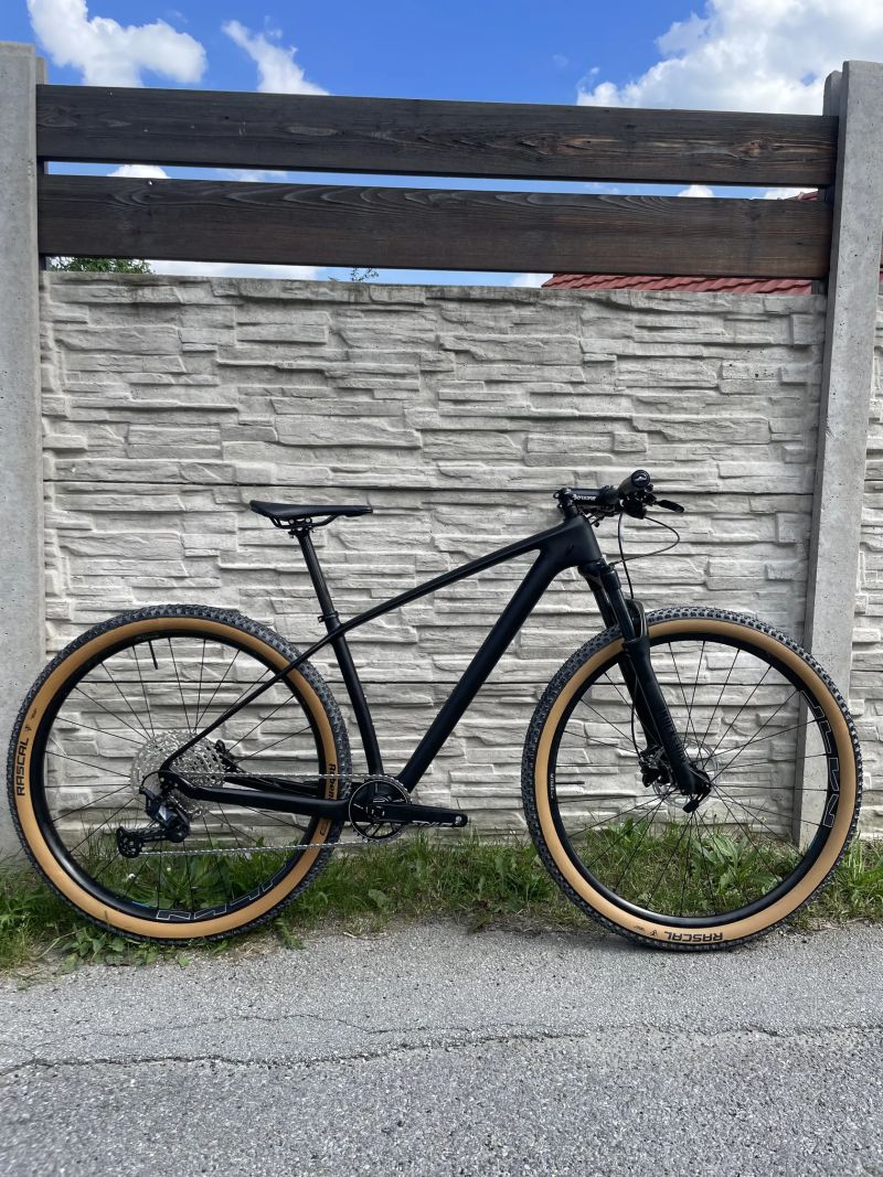 Carbon 29” boost