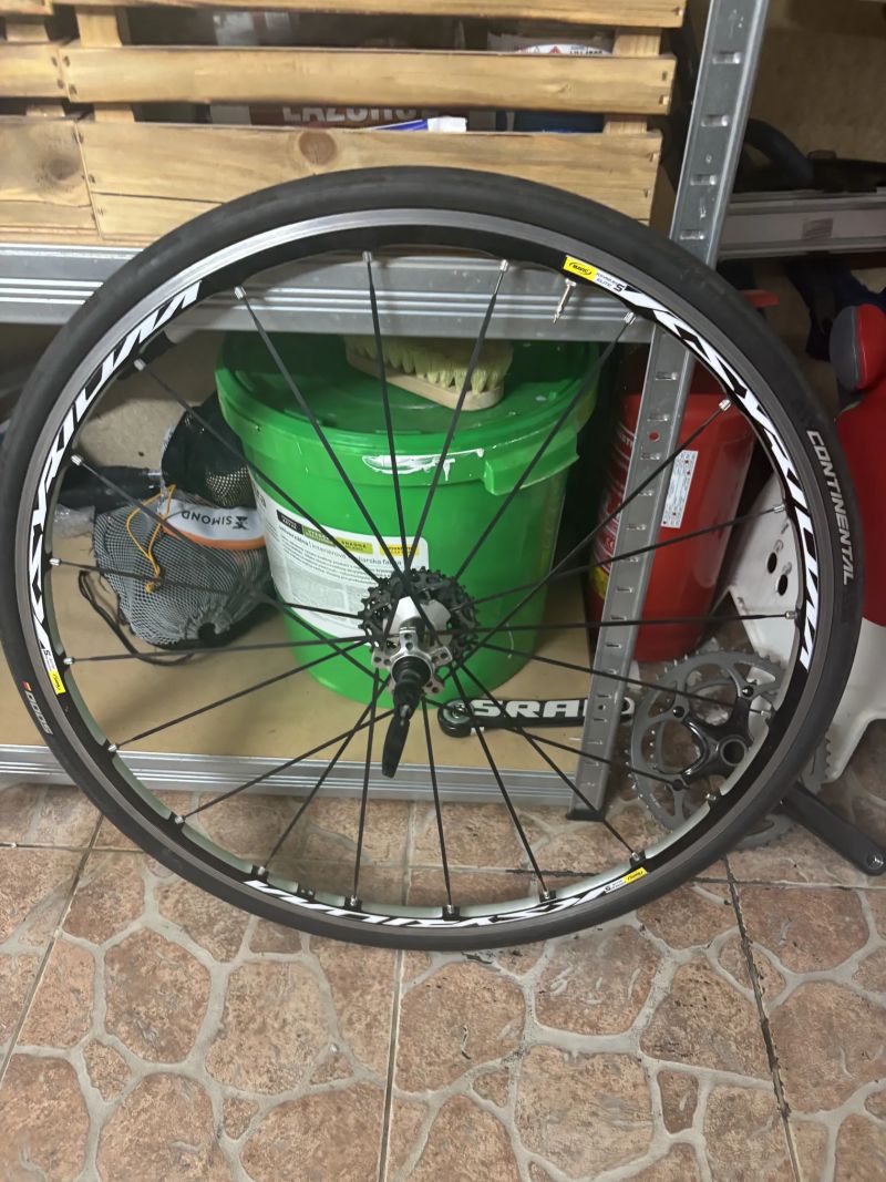 Mavic