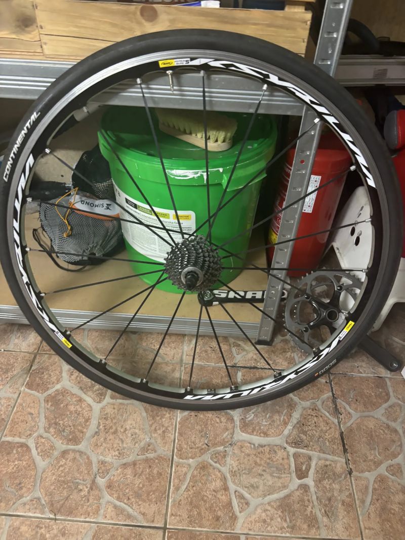 Mavic