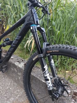 Canyon Spectral 29 CF7