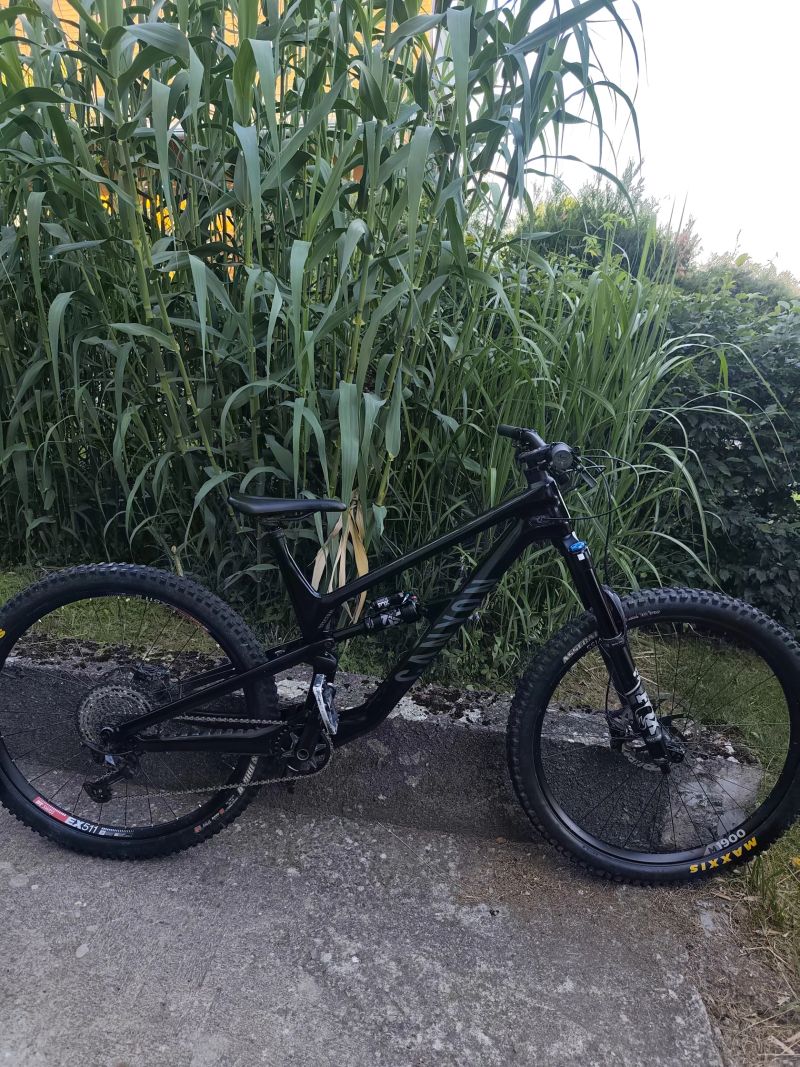 Canyon Spectral 29 CF7
